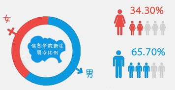 圖解信息學(xué)院2018級(jí)新生大數(shù)據(jù) 信息咨詢(xún)服務(wù)迎新篇